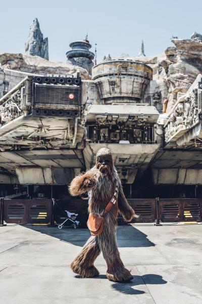 Chewbaca aus Star Wars vor einem Modell des Millenium Falcon